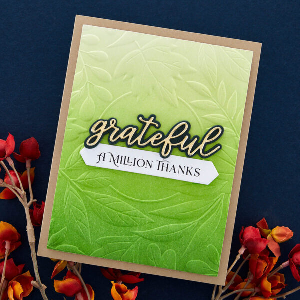 Spellbbinders Autumn Serenade 3D Embossing Folder From the Serenade of Autumn Collection