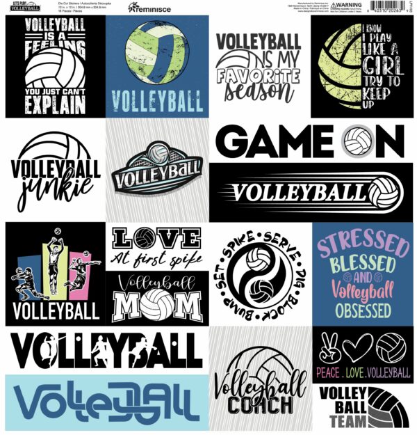 Reminicse Let's Play Volleyball Sticker