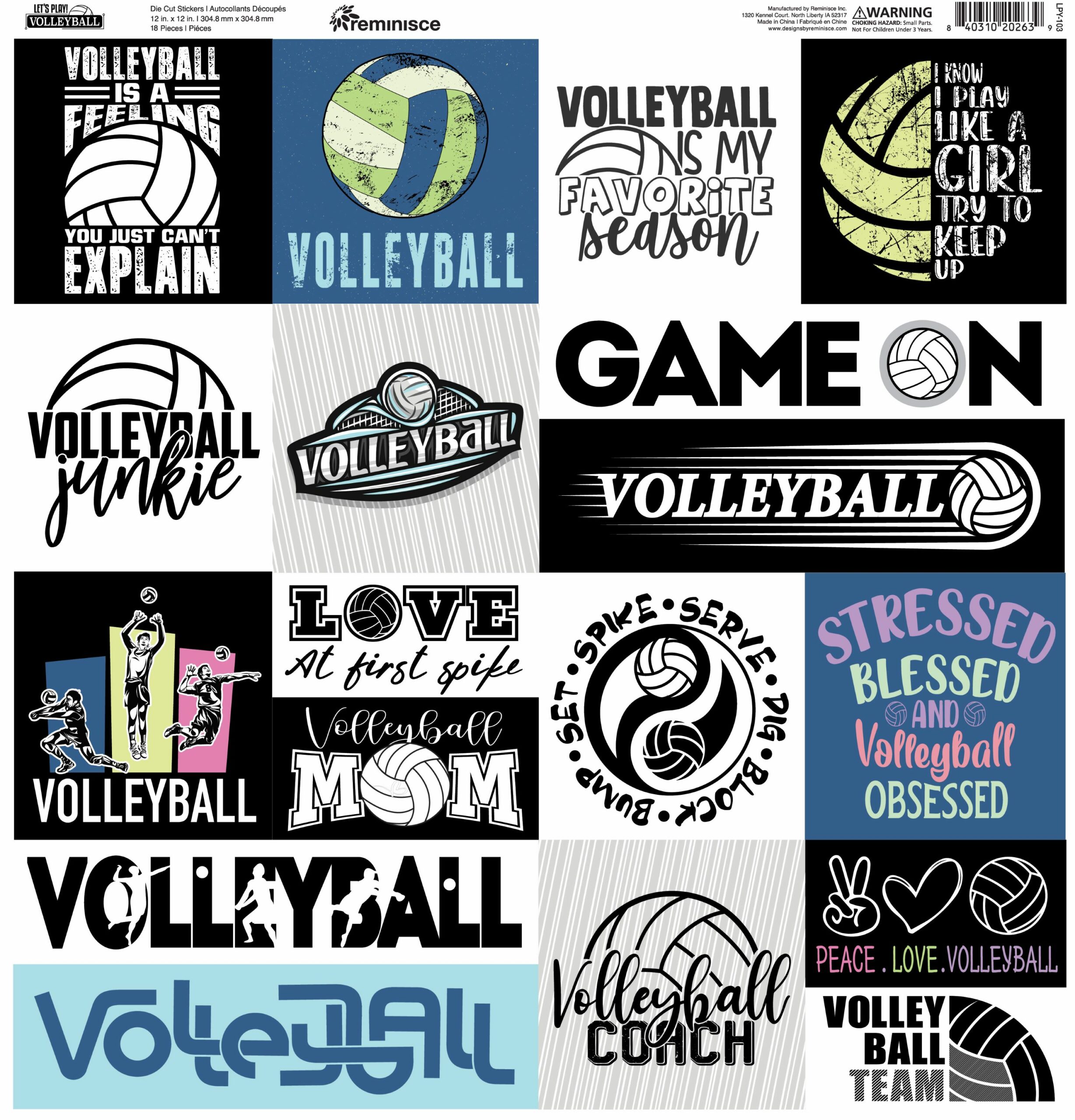 Reminicse Let’s Play Volleyball Sticker