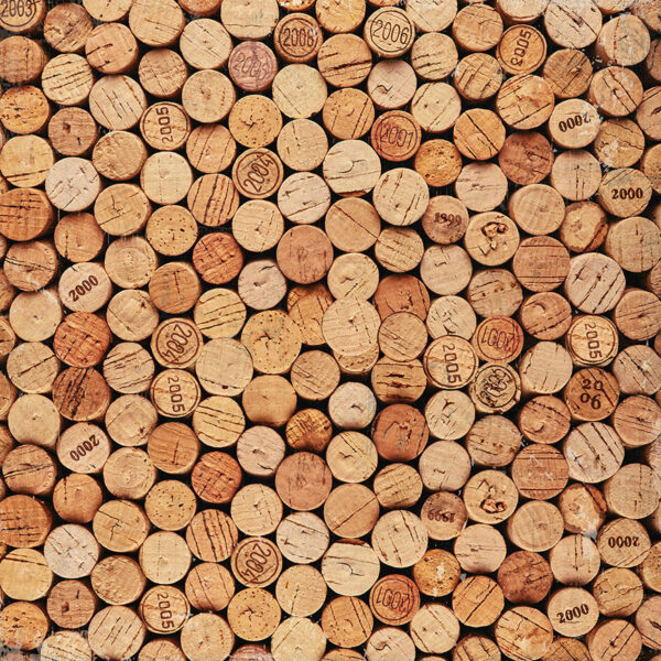 Photo Play Vineyard 12X12 Corked