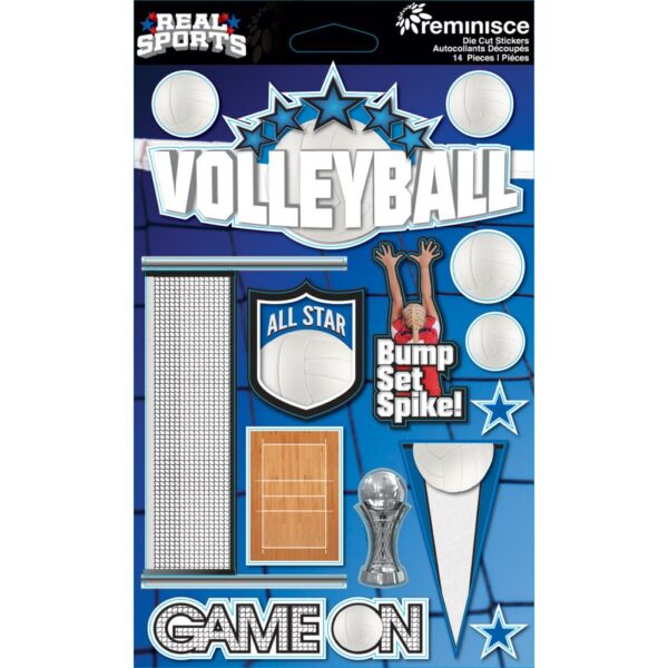 REMINISCE REAL SPORT 3D VOLLEYBALL