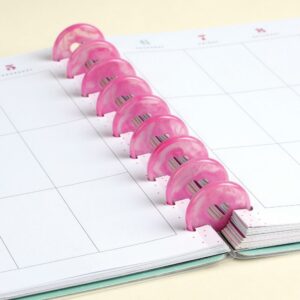 HAPPY PLANNER EXPANDER DISCS BERRY PINK