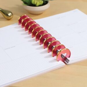 HAPPY PLANNER EXPANDER DISCS ROSEY & GO