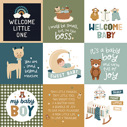 Echo Park Spec Delivery Baby Boy 12X12 4X4 Journaling Cards