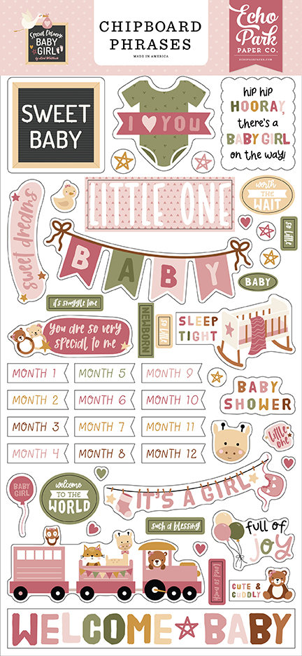 Echo Park Special Delivery Baby Girl 6X13 Chipboard Phrases