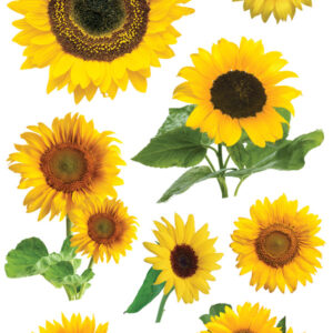 PAPER HOUSE 3D SUNFLOWER