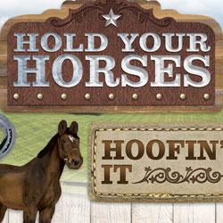 PAPER HOUSE CARDSTOCK STICKER HOLD YOUR HORSES