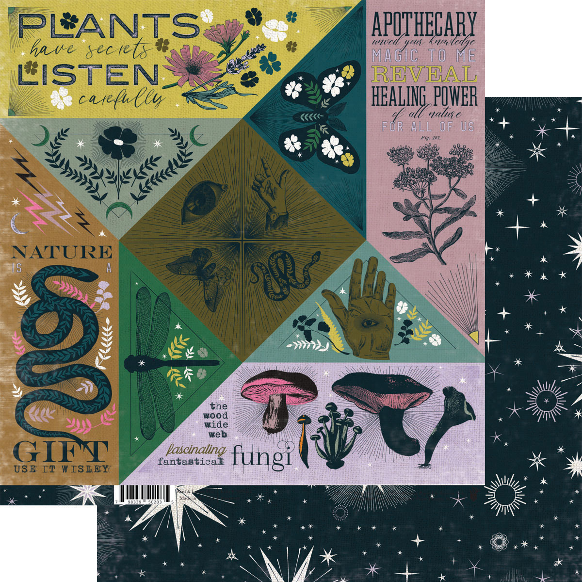 Fancy Pants Apothecary 12X12 Stargazer