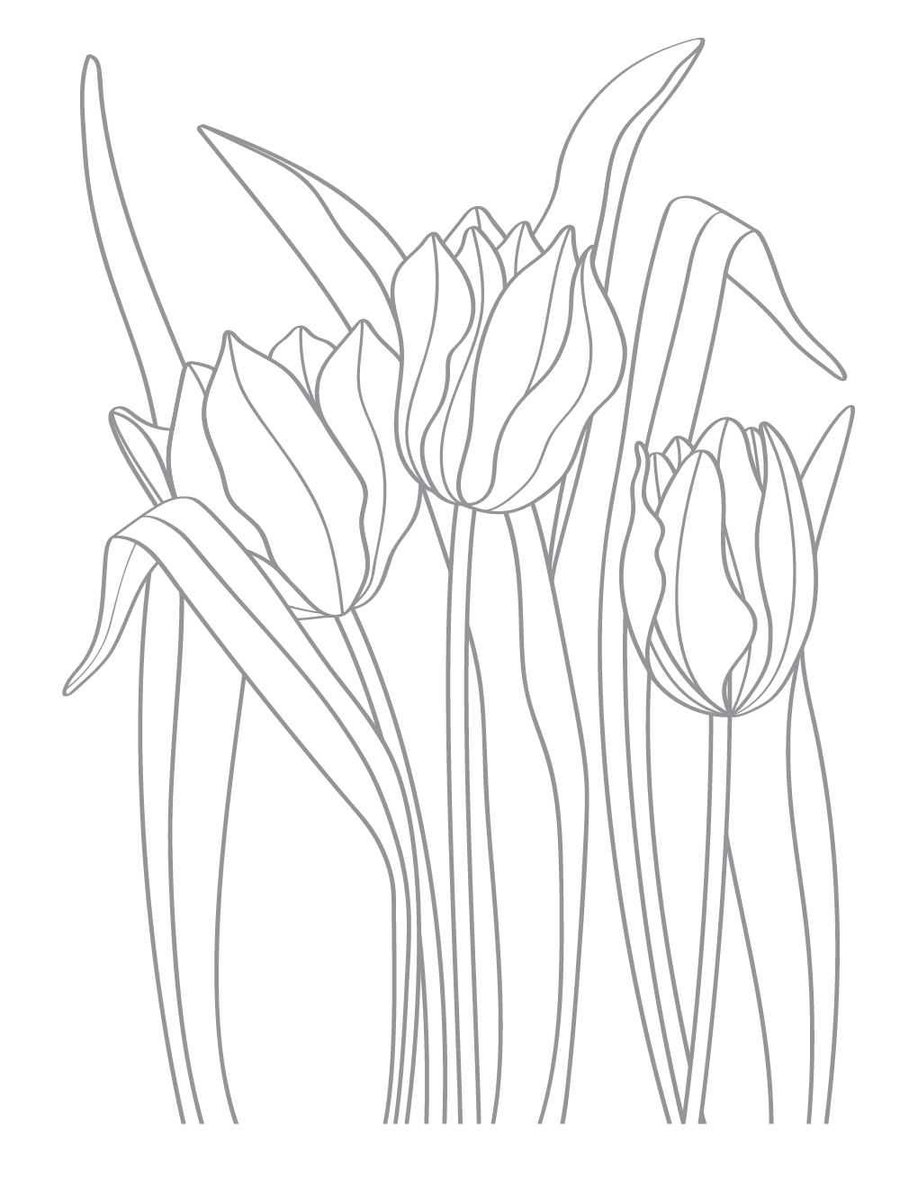 LDRS Letterpress Tulips