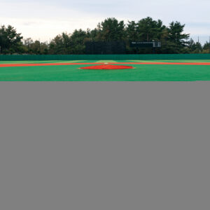 REMINISCE LET'S PLAY BASEBALL 12X12 FIELD OF DREAMS