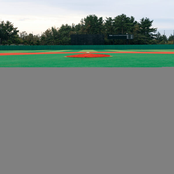 REMINISCE LET'S PLAY BASEBALL 12X12 FIELD OF DREAMS