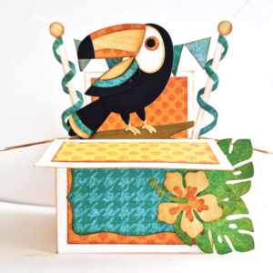 ELIZABETH CRAFTS DIE BOX FOLDING CARD