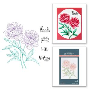 SPELLBINDERS REG BETTERPRESS PEONY PERF