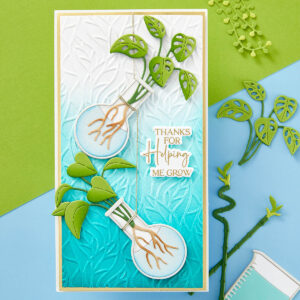 SPELLBINDERS DIES/STAMPS PROPAGATION GARDEN SENTIMENTS