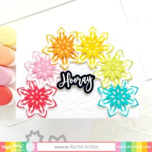 Waffle Flower Stamp/Die Essential Celebrations Combo