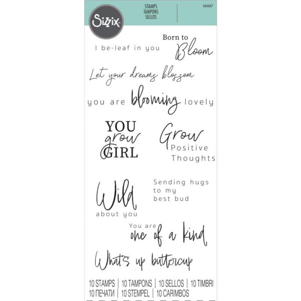 Sizzix Clear Stamps Set 10PK Born To Bloom