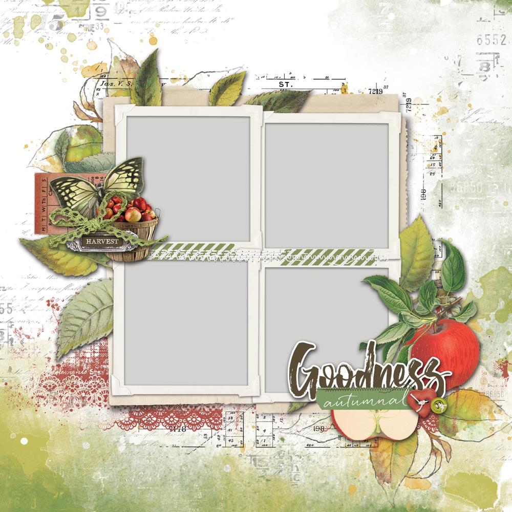 49 & MKT VINTAGE ORCHARD PAGE KIT