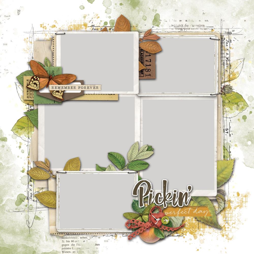 49 & MKT VINTAGE ORCHARD PAGE KIT