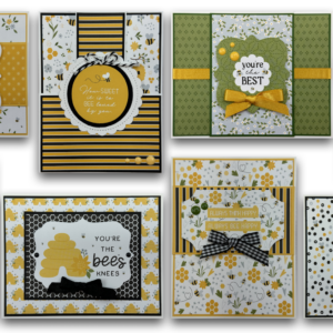 Echo Park Happy As Can Bee Card Kit