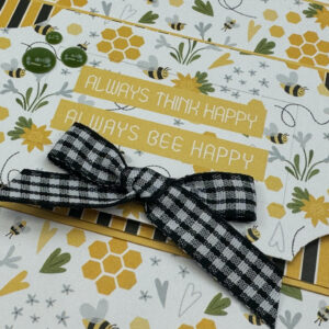 Echo Park Happy As Can Bee Card Kit