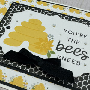 Echo Park Happy As Can Bee Card Kit