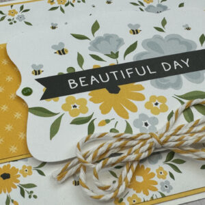 Echo Park Happy As Can Bee Card Kit