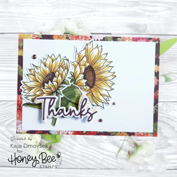 HONEY BEE DIE HONEY CUTS GREAT GREETINGS EVERYDAY