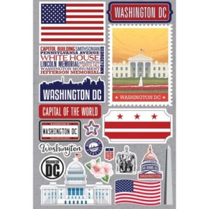 REMINISCE WASHINGTON DC JET SETTER STICKER