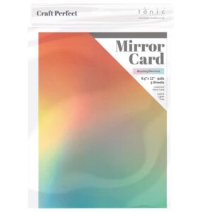 TONIC CRAFT PERFECT OMBRE MIRROR BLUSHING MERMAID