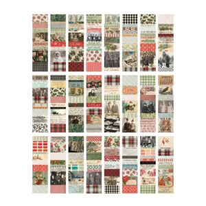 ADVANTUS TIM HOLTZ IDEA-OLOGY LARGE COLLAGE STRIPS