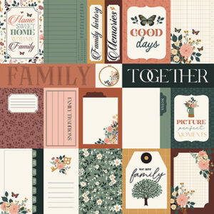 Echo Park Family 12X12 Multi Journaling Cards