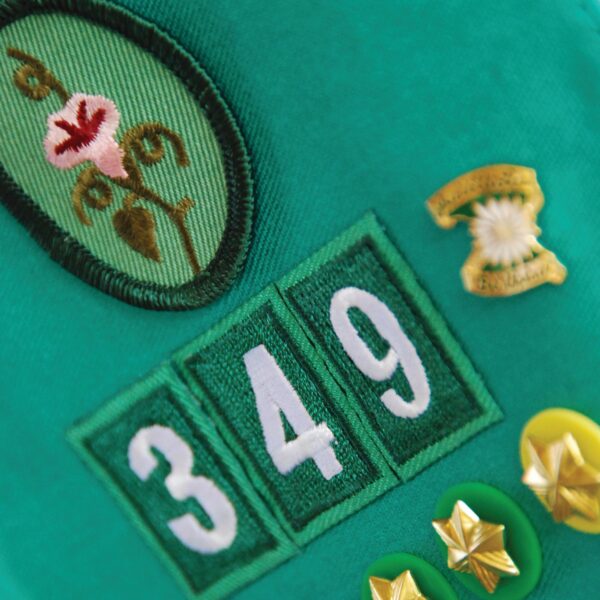 Reminisce My Troop 12X12 Insignia