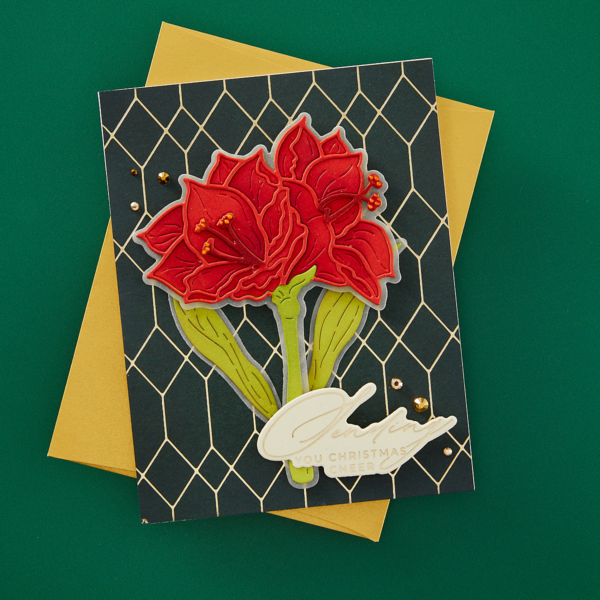 Spellbinders Yana's Amaryllis Etched Dies From the Amaryllis Christmas Collection By Yana Smakula