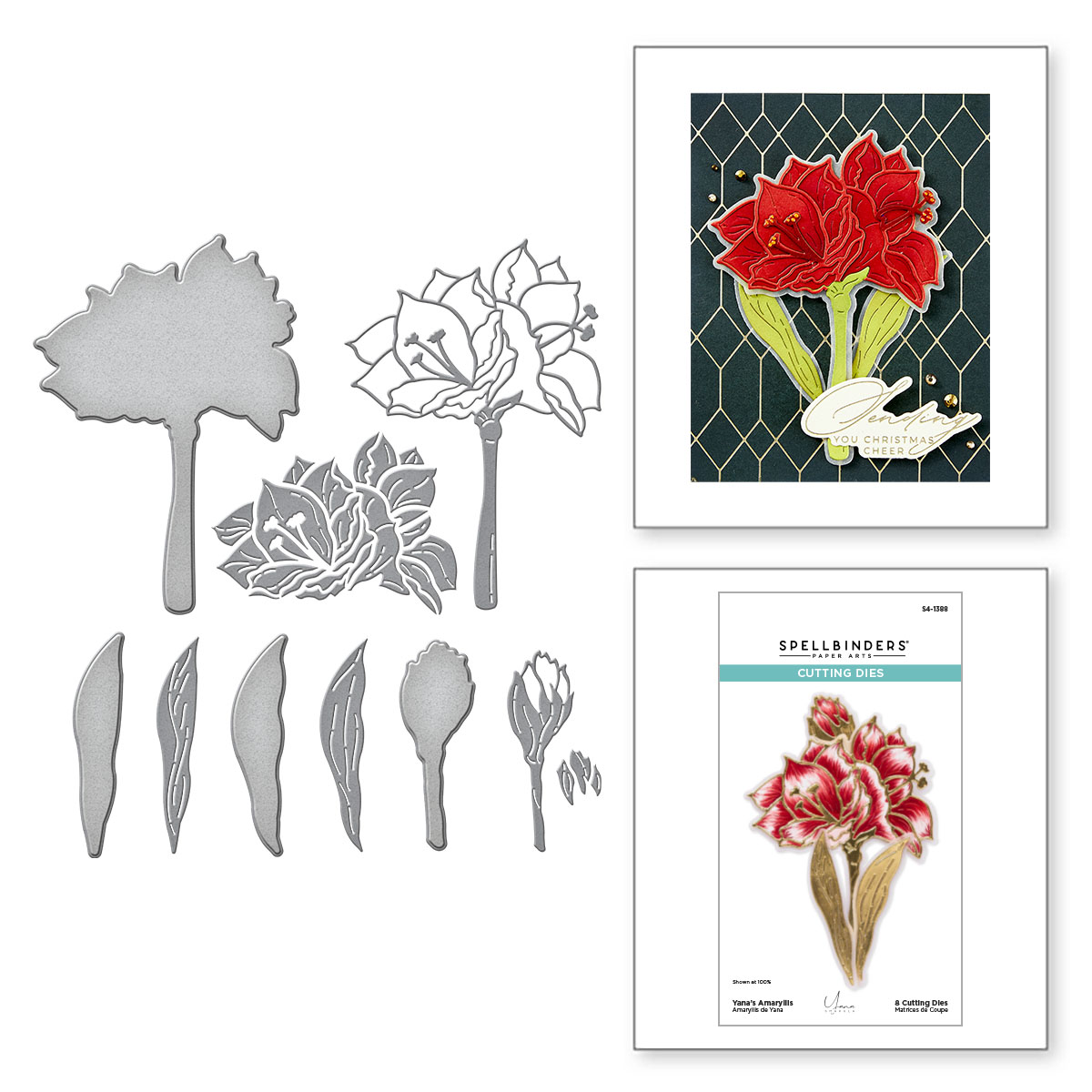 Spellbinders Yana’s Amaryllis Etched Dies From the Amaryllis Christmas Collection By Yana Smakula