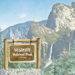 SCRAPBOOK CUSTOMS 12X12 YOSEMITE NATIONAL PARK