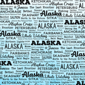 SRAPBOOK CUSTOMS POSTAGE MAP 12X12 ALASKA