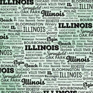 SCRAPBOOK CUSTOMS POSTAGE MAP 12X12 ILLINOIS