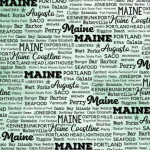 SCRAPBOOK CUSTOMS POSTAGE MAP 12X12 MAINE