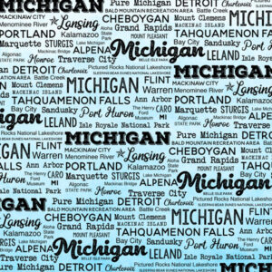 SCRAPBOOK CUSTOMS POSTAGE MAP 12X12 MICHIGAN