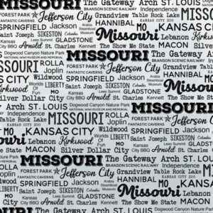 SCRAPBOOK CUSTOMS POSTAGE MAP 12X12 MISSOURI