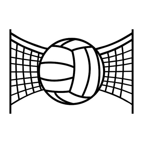 SCRAPBOOK CUSTOMS LASER VOLLEYBALL W/NET