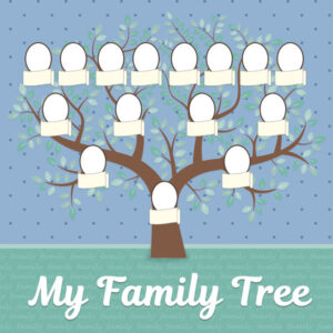 SCRAPBOOK CUSTOMS 12X12 MY FAMILY TREE 4 GENERATION