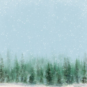 Simple Stories Simple Vintage Fresh Snow 12X12 First Snow