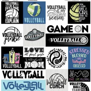 Reminicse Let's Play Volleyball Sticker